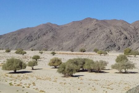 Life at an archaeological dig in the Egyptian desert