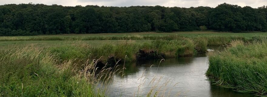 Day 1 and 2 of Fieldschool at the Tollense Battlefield