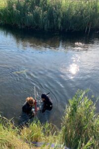 Site director dive