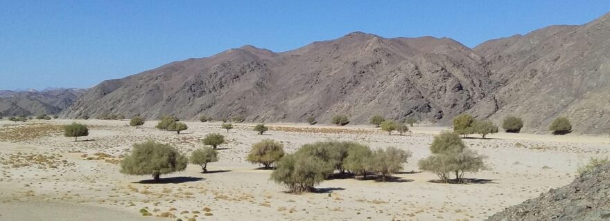 Life at an archaeological dig in the Egyptian desert