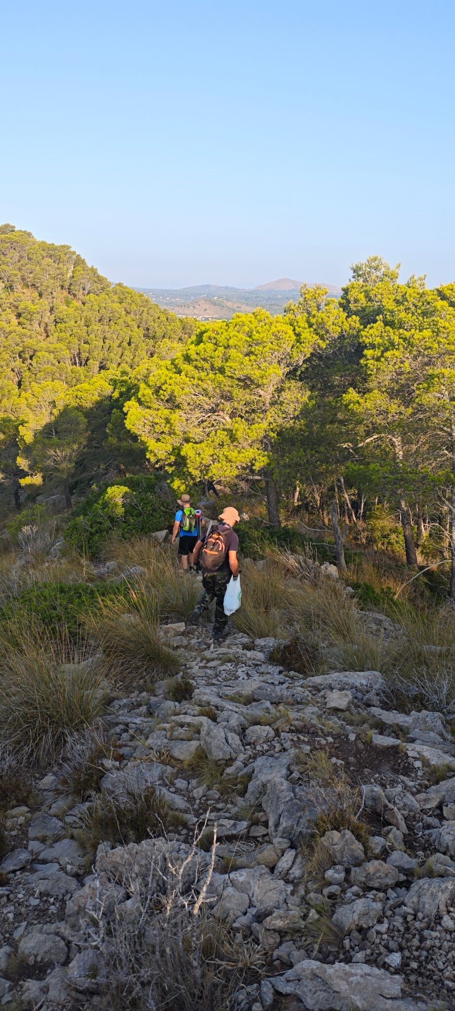 Extra picture leaving exstensive survey