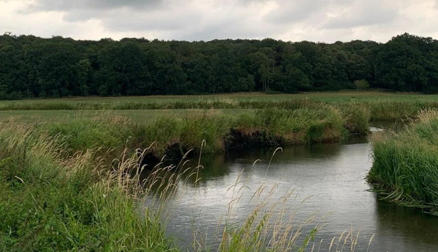 Day 1 and 2 of Fieldschool at the Tollense Battlefield