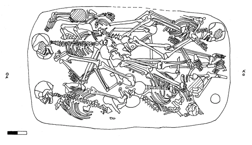 Organising an Osteoarchaeological Symposium: 5 students share their experiences