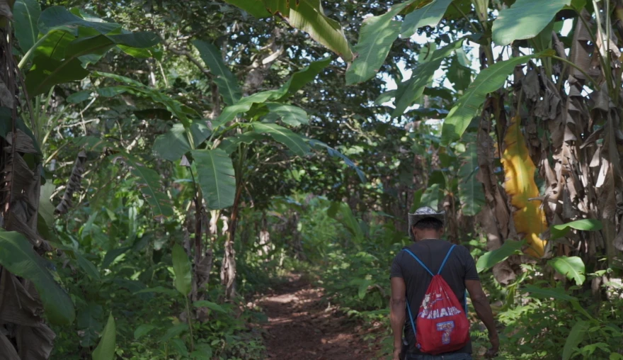 Beyond archaeology: why we need an interdisciplinary understanding of the Darién Gap
