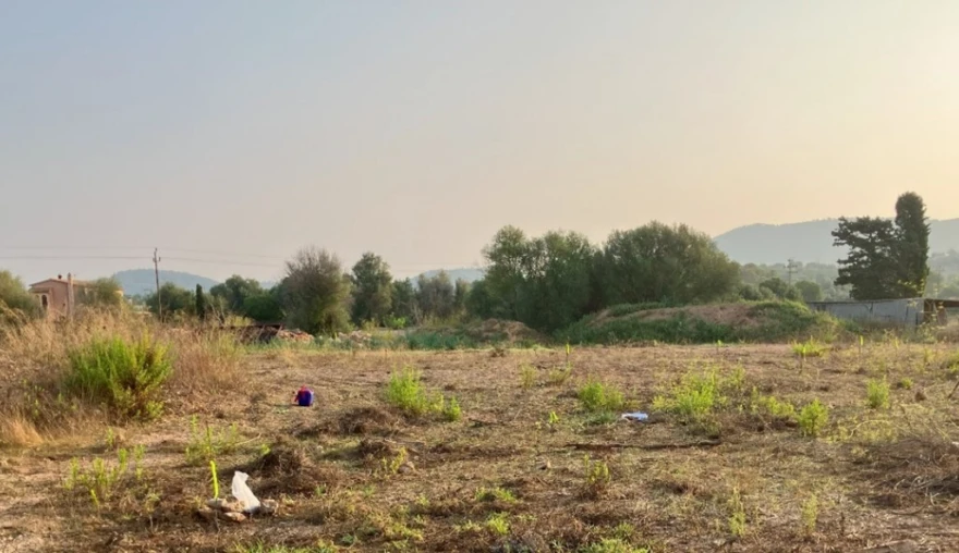 Excavating the Roman Villa Son Sard: Insights into Archaeological Research
