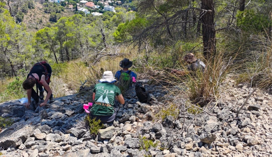 Academic hiking; surveying the mountains on Mallorca