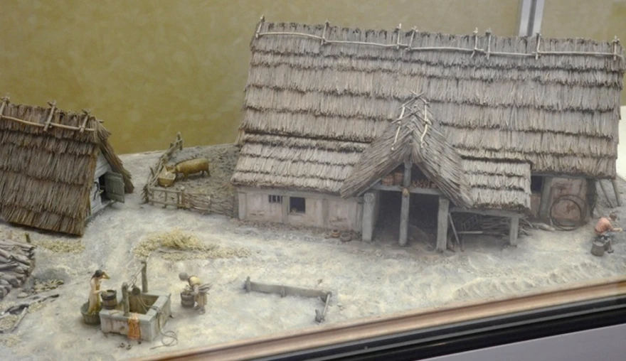A grazing field for pigs? The early years of post-Roman Cologne
