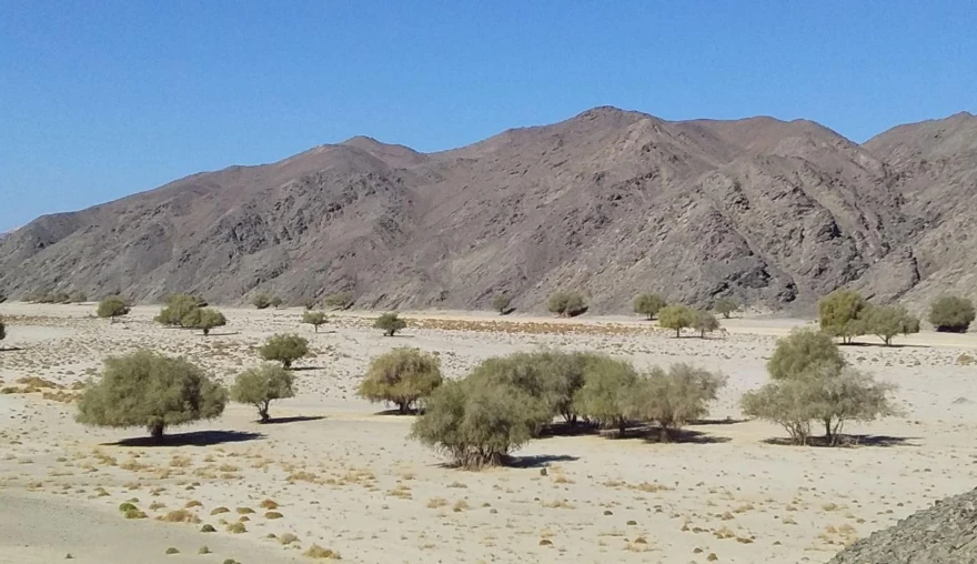 Life at an archaeological dig in the Egyptian desert