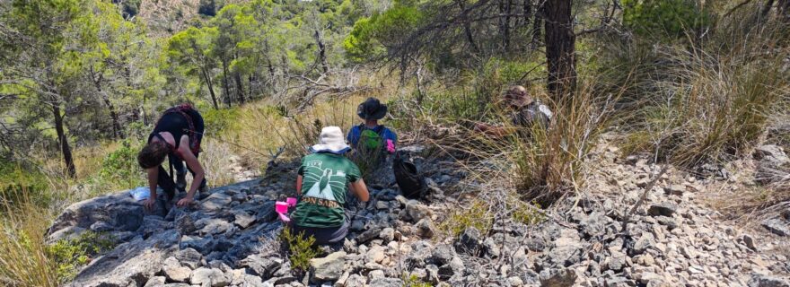 Academic hiking; surveying the mountains on Mallorca