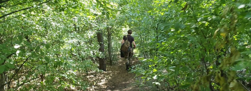 Forgotten Barrows: Excavating a funerary landscape in Noord-Limburg