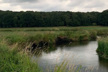 Day 1 and 2 of Fieldschool at the Tollense Battlefield