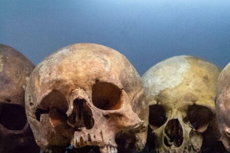 Into people’s noses: investigating past respiratory health to reconstruct a society’s response to urbanisation