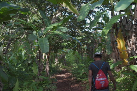 Beyond archaeology: why we need an interdisciplinary understanding of the Darién Gap