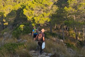 Extra picture leaving exstensive survey